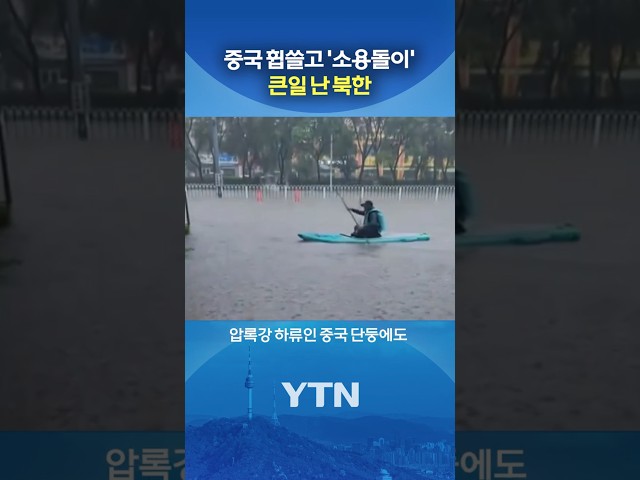 바다 건너 한반도로 #shorts / YTN