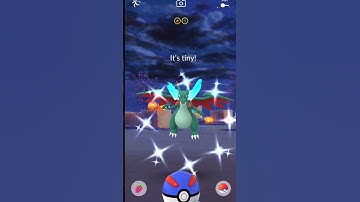 🤯How to get Shiny Zorua Pokemon in Pokemon Go தமிழில் #shortsfeed #shorts #pokemongo #pokemon #short