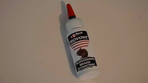 Mice Attractant v. Peanut Butter: Baiting Your Trap