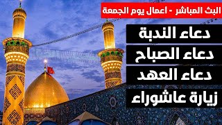 كربلاء مباشر | شهر صفر | دعاء الصباح -  دعاء الندبة - زيارة عاشوراء - أدعية لقضاء الحوائج