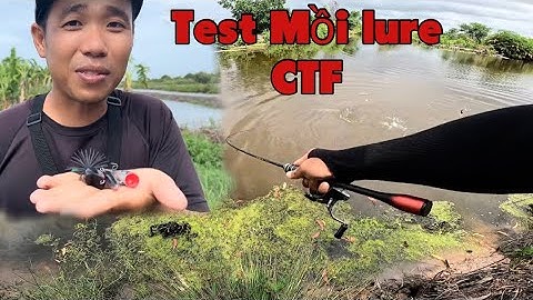 Câu Cá Chẽm, Cá Măng Tự Nhiên Bằng Mồi CTF || Chí Toàn Fishing
