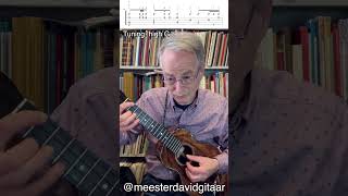 Erbarme Dich - J. S. Bach (Ukulele fingerstyle tutorial)