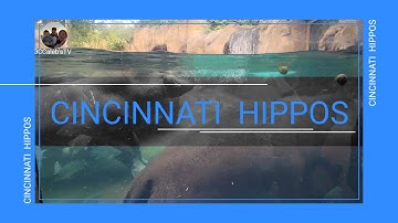 EXPLORING CINCINNATI ZOO AND BOTANICAL GARDEN-PART 3 //3CCaleb