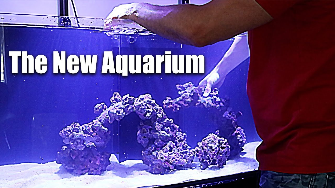 new saltwater aquarium set