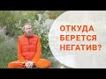 Откуда берется негатив?