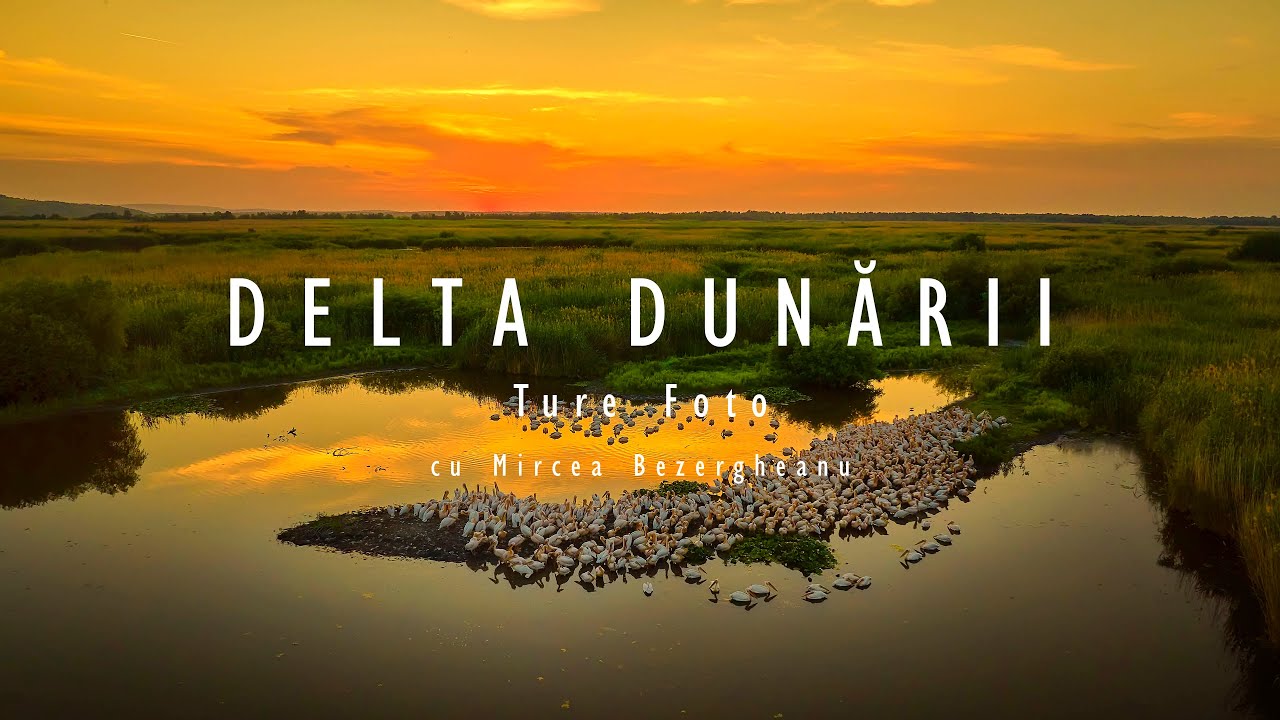 Delta Dunării, de Mircea Bezergheanu.