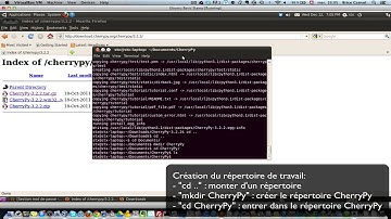 CherryPy_install