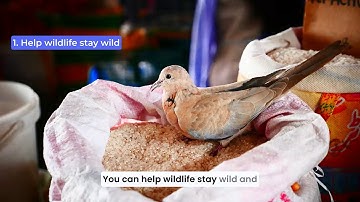 Help us promote One Health – here are five steps