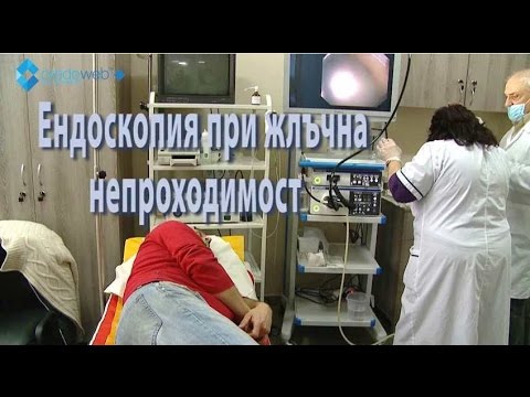 Видео: Променящата се епидемиология на денга в Китай, 1990–2014 г.: описателен анализ на 25 години данни за национално наблюдение