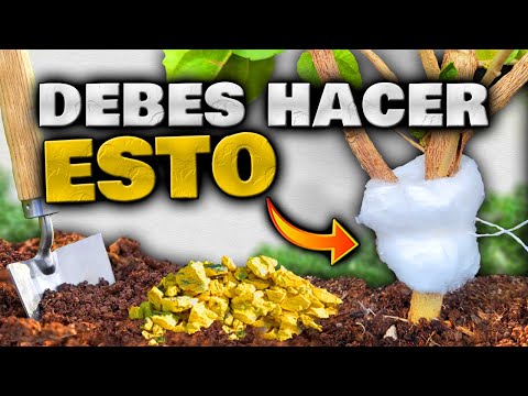 5 TRUCOS ASOMBROSOS
