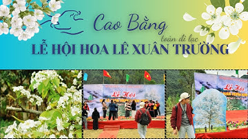 Khám Phá Lễ Hội Hoa Lê Xuân Trường, Bảo Lạc, cao Bằng | Toàn đi lạc