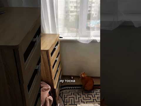 Стены дома как в больнице #trendingshorts #diy #diydecor #ремонтвдоме #балкон