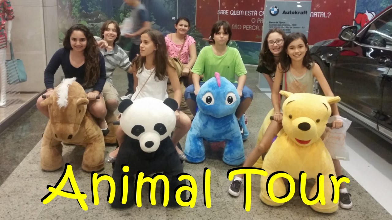 animal tour store