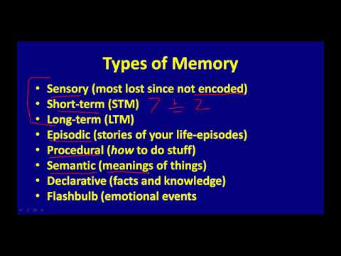 ვიდეო: რა ტიპებად იყოფა მეხსიერება