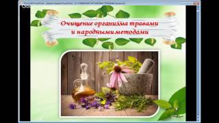 Как очистить организм травами | Рецепты вкусных блюд для очищения организма от шлаков Как очистить организм травами | Рецепты вкусных блюд для очищения организма от шлаков