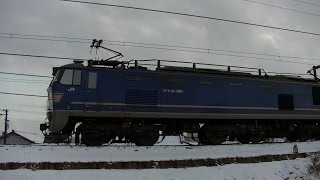 EF510-504牽引高速貨物3097レ 広島→新潟
