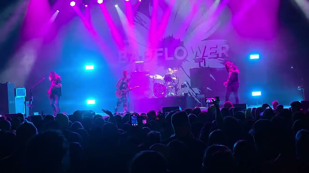 Badflower - Animal- Sylvee, Madison, WI 2/21/2026