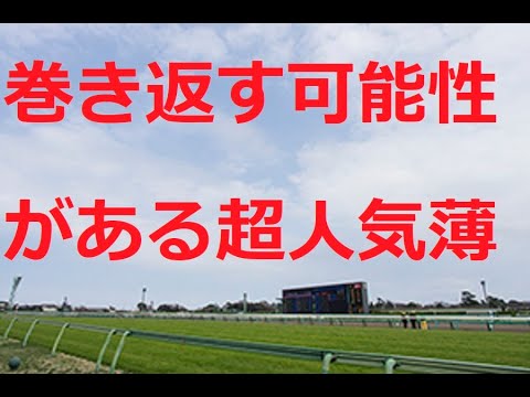 高松宮記念 2021 巻き返す可能性がある超人気薄穴馬候補 レベルの高かったレースは！？