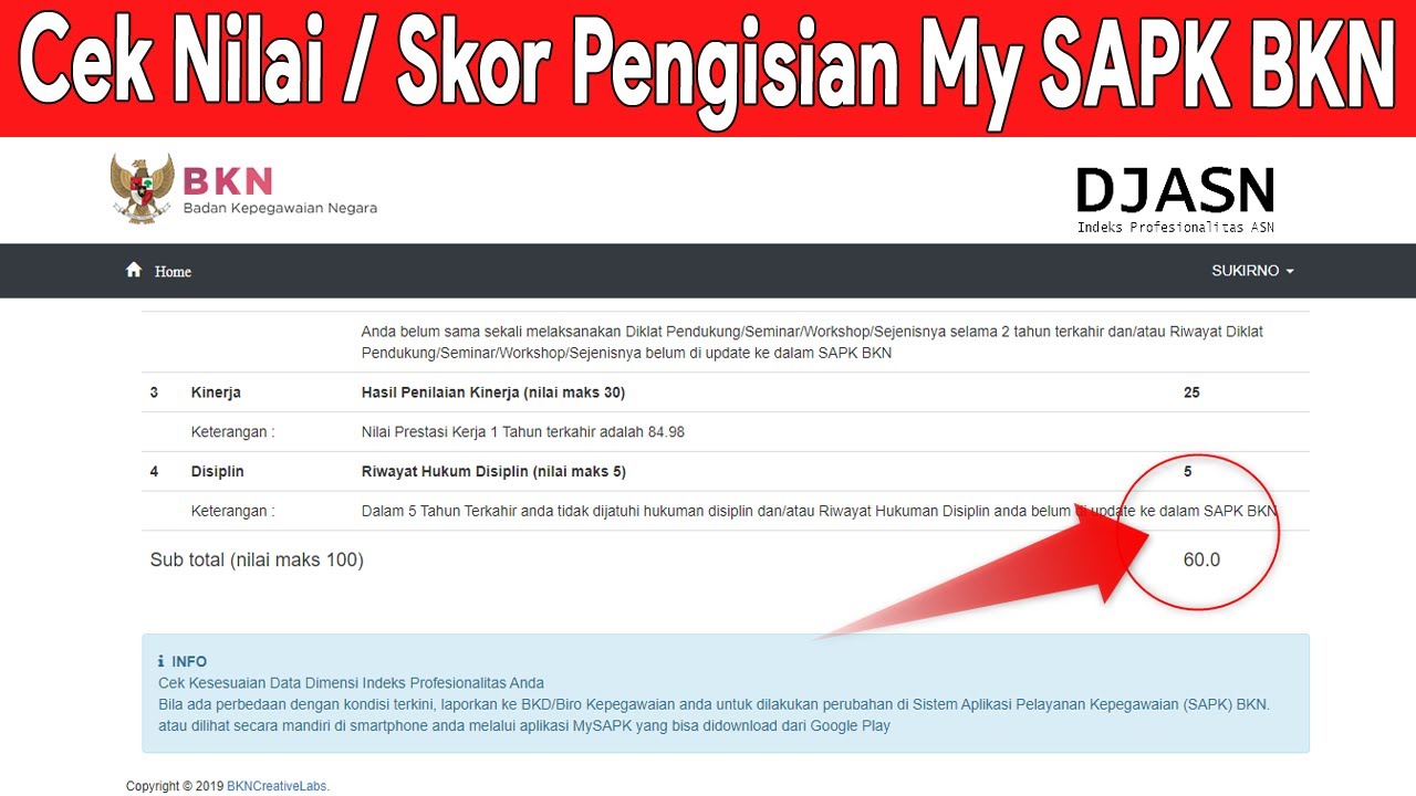 Cara Mengecek Nilai atau Skor Pengisian Aplikasi My SAPK BKN 2021 