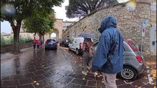 VID 20251021 043301 00 085