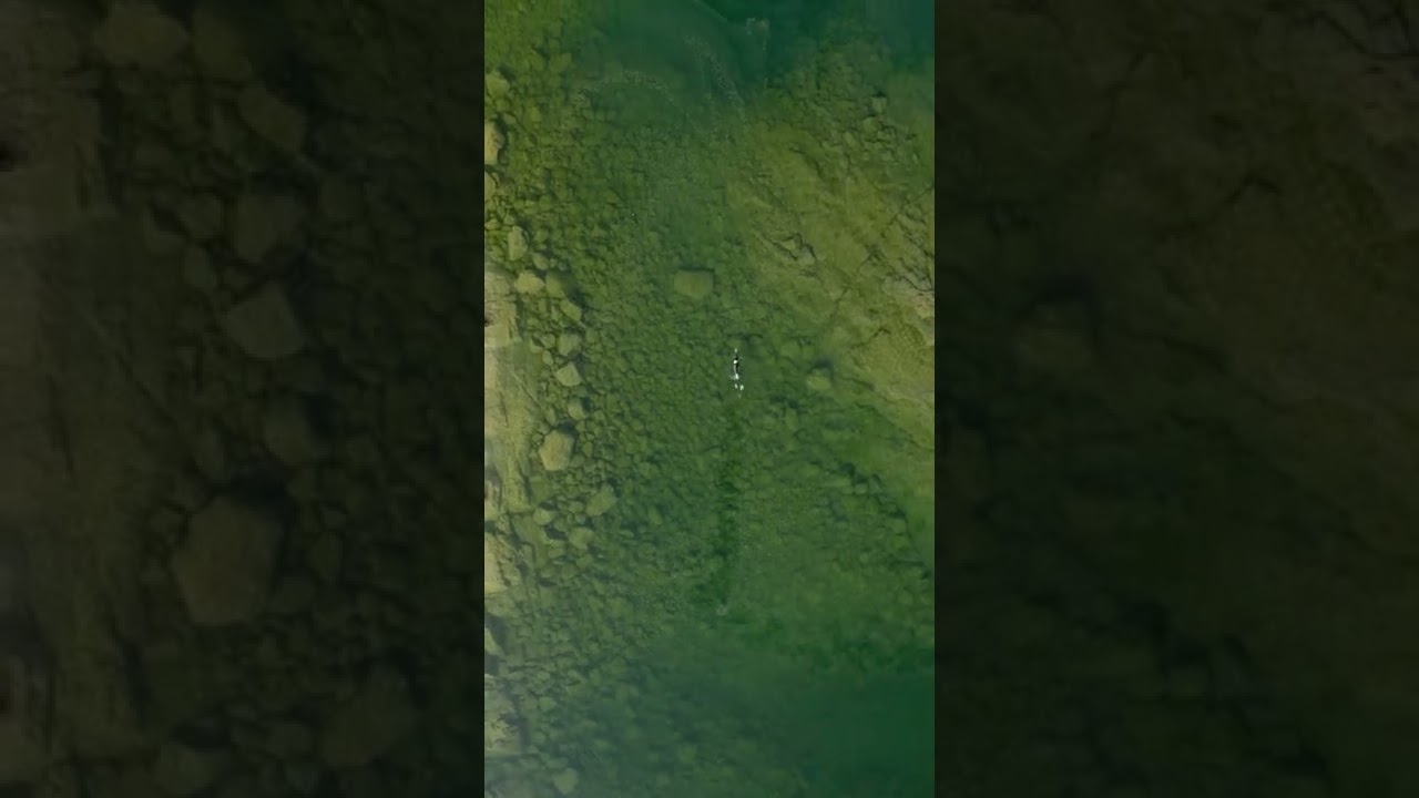 SUP & open water swimming