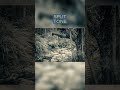 Variations of Summer at Hopetoun Falls #1