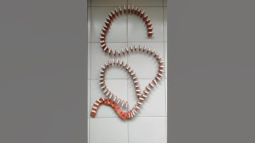 ASMR Satisfying | Domino Chain Reaction #shorts #asmr #satisfying #dominoeffect