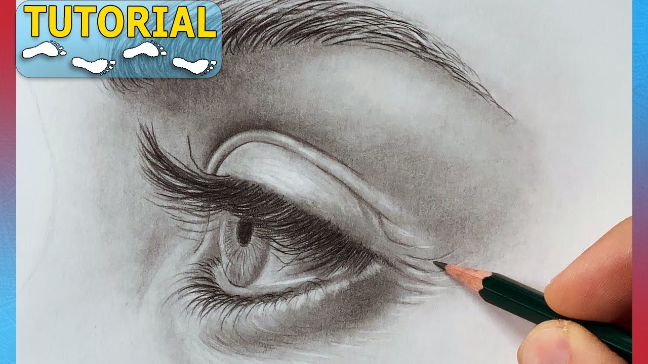 Auge Von Der Seite Zeichnen Wie zeichnet man ein Auge von der Seite? Auge zeichnen lernen in der