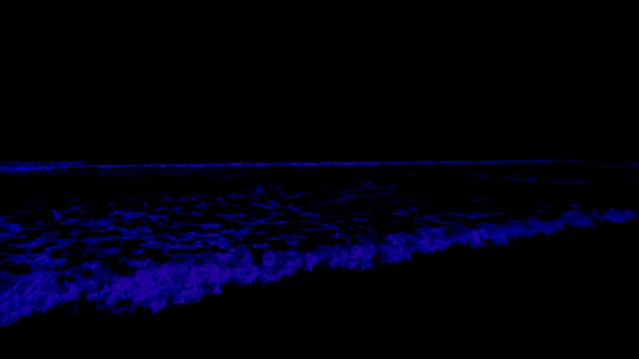 (No Ads) Deep Relaxation Music • Calming Ocean Waves In Quiet Night To Stress & Anxiety Relief