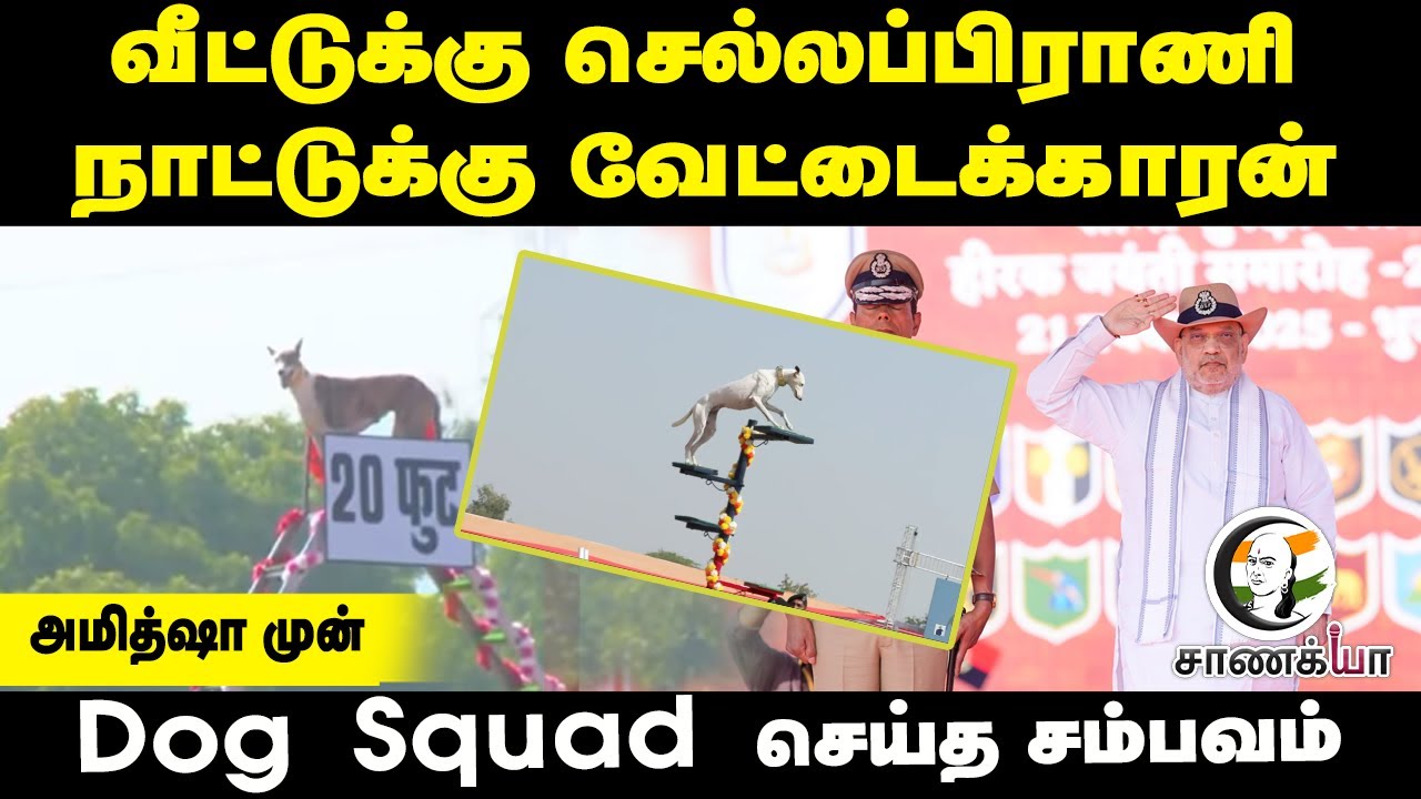 வீட்டுக்கு செல்லப்பிராணி நாட்டுக்கு வேட்டைக்காரன் |Amit Shah முன் Dog Squad | Defence | ARMY | India
