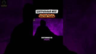 ОККУЛЬТНЫЙ ЭКСПЕРИМЕНТ С ЦЕНТРАЛЬНЫМ МОЗГОМ: Магия Тьмы в Действии! #магия  #оккультизм  #эзотерика