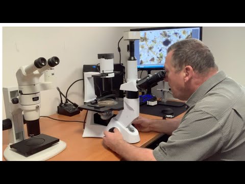 Looking for Tardigrades