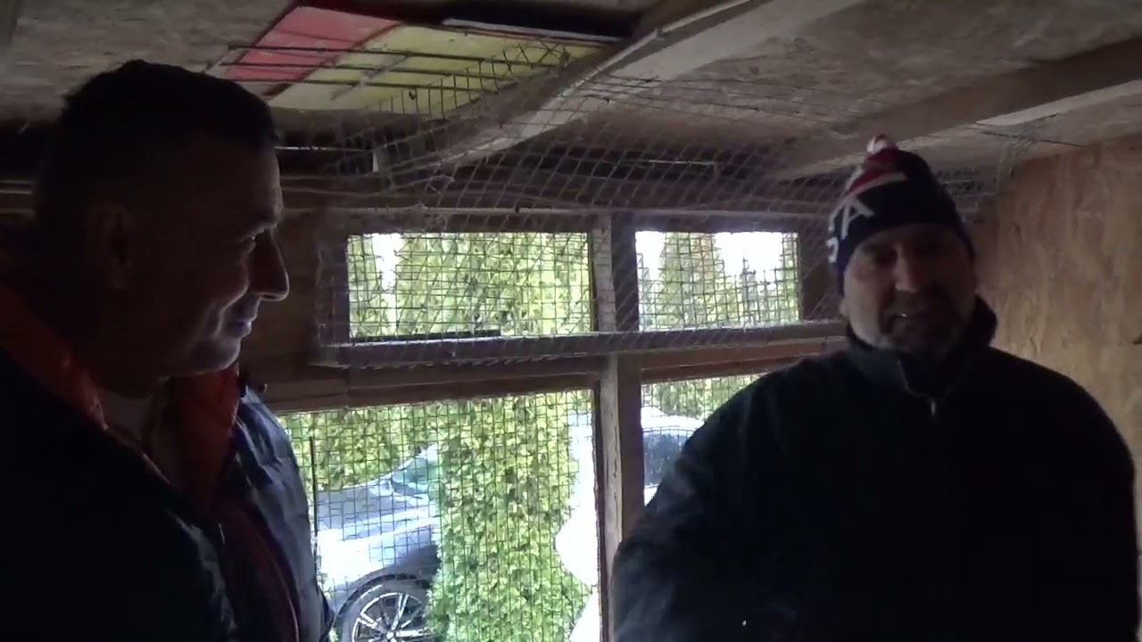 Columbofil dl Asmarandei Florentin Pascani Iasi Romania porumbei de matca 29 ian 2026 part 2