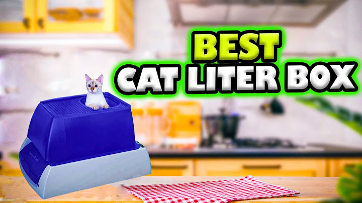 Best self cleaning cat litter box for multiple cats