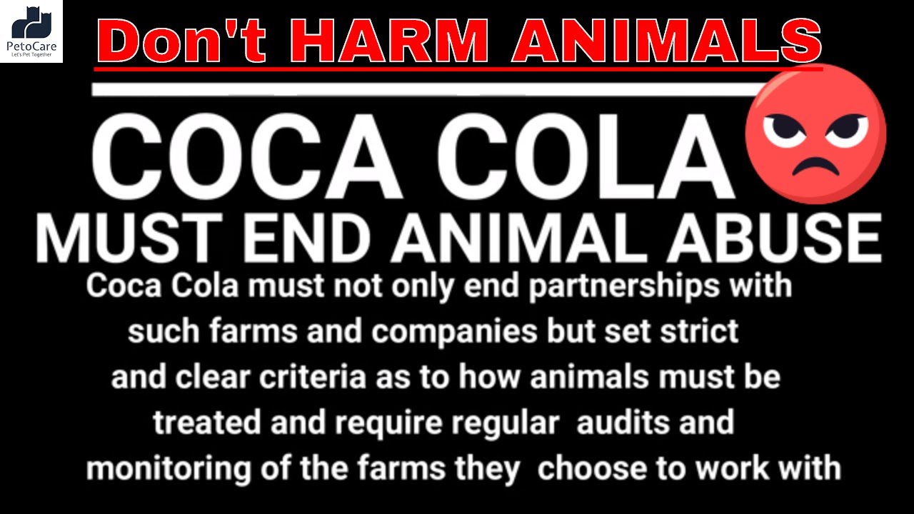 Cruelty to Animals||Animal sufferings||Coca Cola Must End Animal Abuse -  YouTube