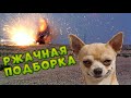 СМЕШНЫЕ ВИДЕО, РЖАЧНЫЕ ПОДБОРКИ, ЛУЧШИЕ ПРИКОЛЫ, FUNNY BANANA, COUB 😂😂😂