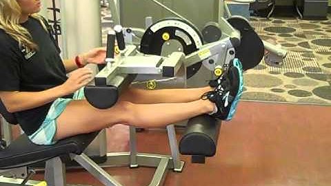 Cybex Seated Leg Curl