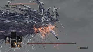 Nameless King