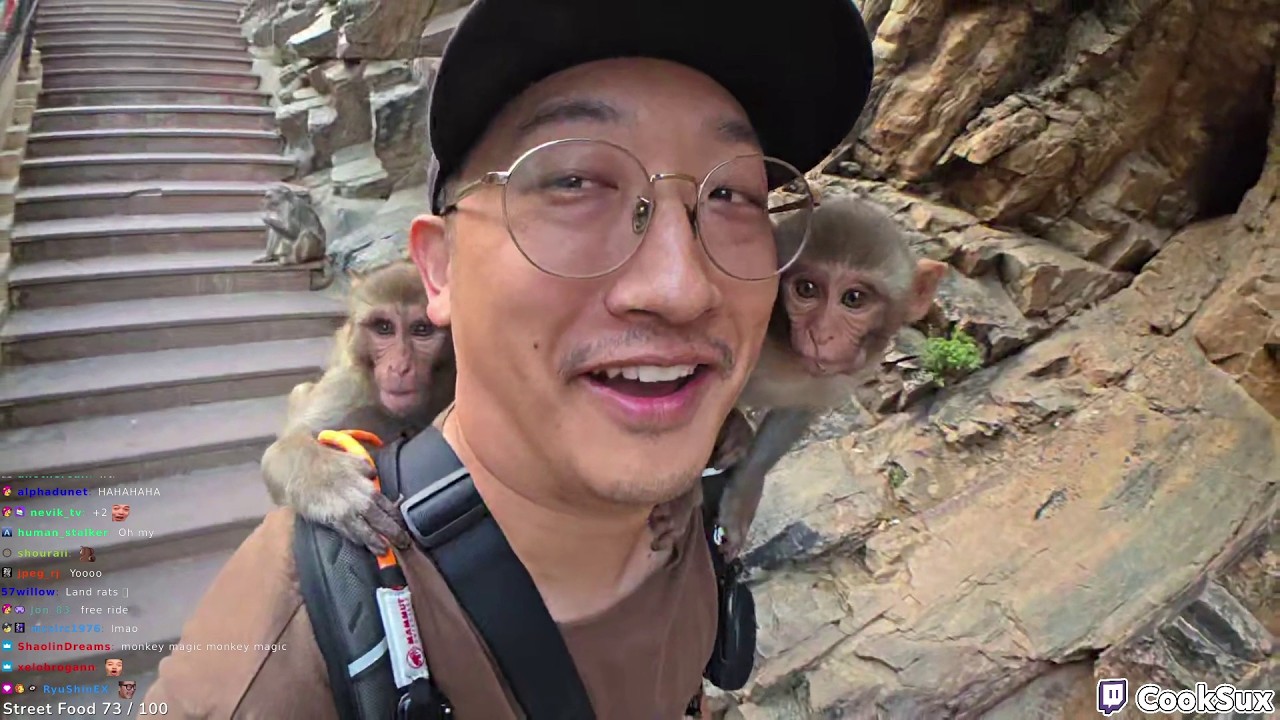 2026.02.20: Monkey Magic | Jaipur, India - YouTube