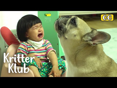 Video: Canine Emotion: Làm thế nào con chó của bạn THỰC SỰ cảm thấy về bạn