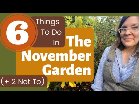 Video: Regionale tuinklusjes – Tips voor tuinieren in november