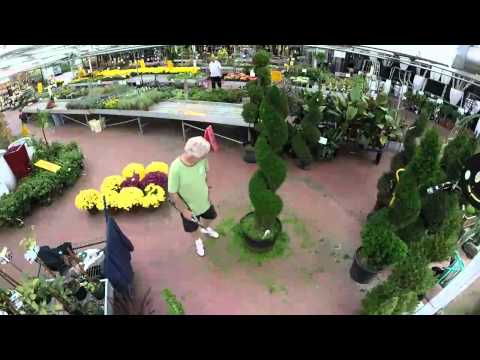 Video: Jak Vyrobit Bavlněné Podložky Topiary