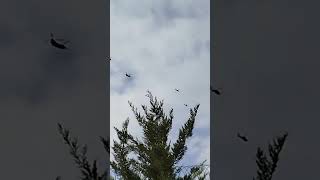 #ankara #uçak #helikopter #atak