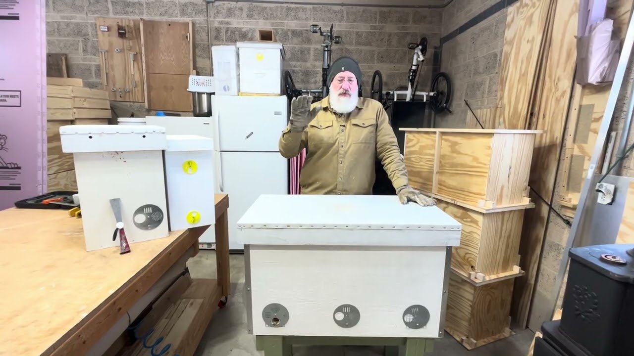 Вредна ли влага в улье?