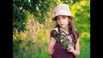 giáo trình illustrator cho người mới bắt đầu, học illustrator, học đồ họa