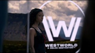 Westworld | The String Quartet Tribute to RADIOHEAD (episode 6, season 1)