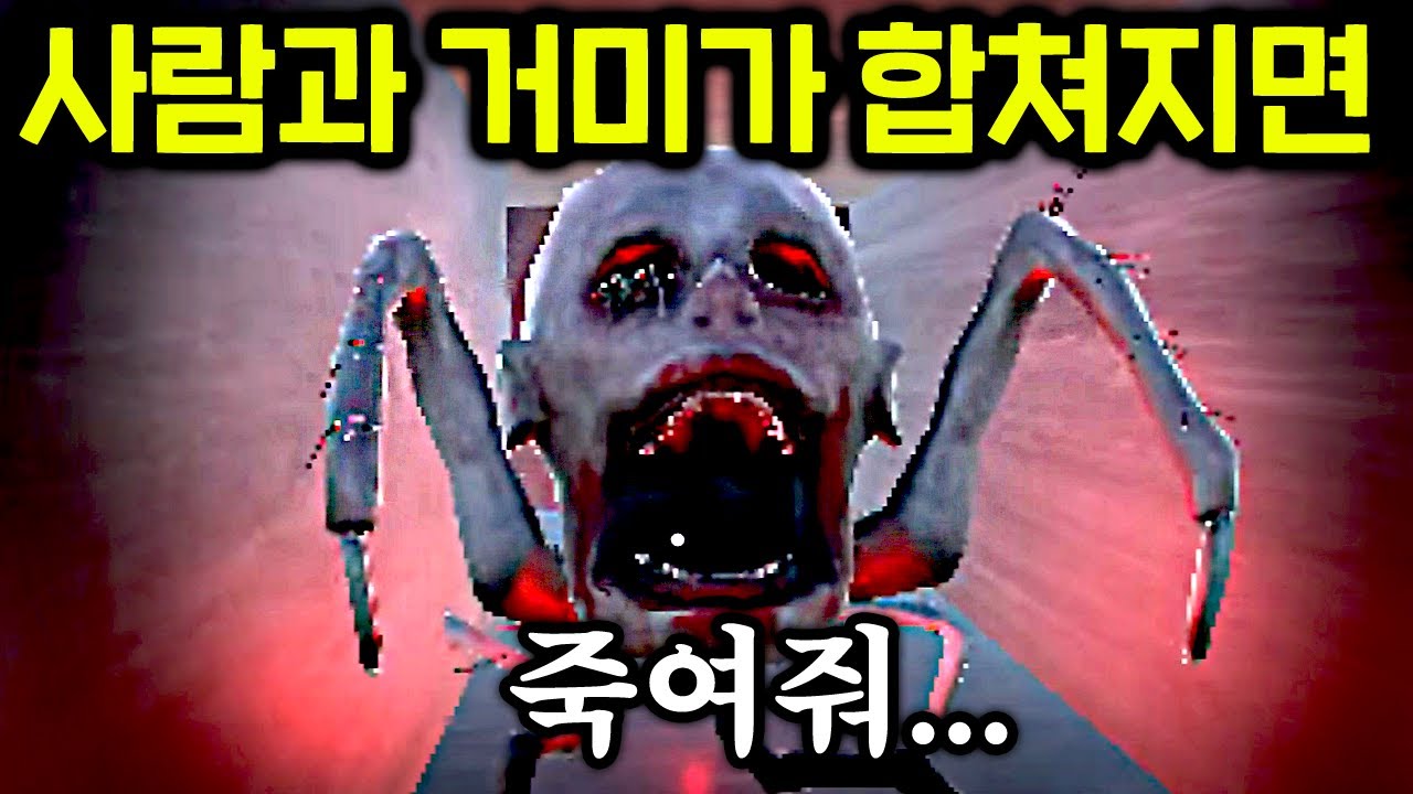 거미와 사람을 합치는 실험을 해봤습니다..