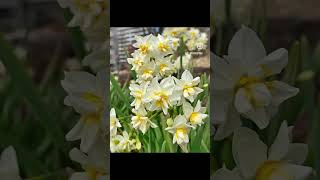 Fatiscloset; life is beautiful!! Some pictures to inspire you. Sending 🙏,❤️,and 👍! ❤️🙏✌️ Fatiscloset; life is beautiful!! Some pictures to inspire you. Sending 🙏,❤️,and 👍! ❤️🙏✌️