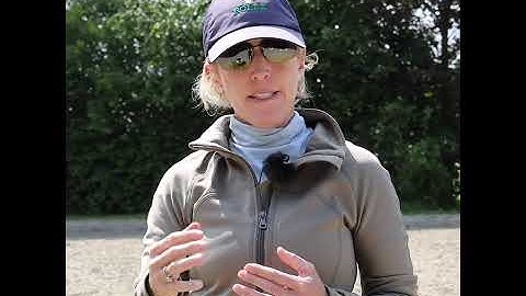 Meredith Michaels Beerbaums Advanced System For Jumping