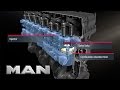 MAN - Top-down engine cooling (English version)